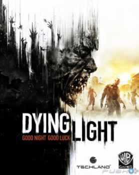 Dying Light ps4 image1.JPG
